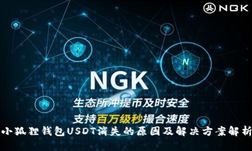 小狐狸钱包USDT消失的原因及解决方案解析