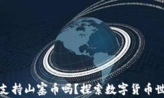 Imtoken钱包支持山寨币吗？探索数字货币世界的无