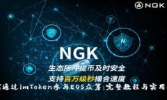 如何通过imToken参与EOS众筹：完整教程与实用技巧