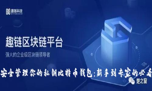 如何安全管理你的私钥比特币钱包：新手到专家的必看指南