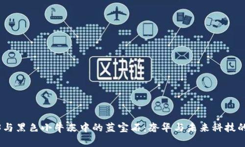 探索Web3与黑色小牛皮中的蓝宝石：奢华与未来科技的完美结合