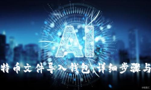 如何将比特币文件导入钱包：详细步骤与注意事项