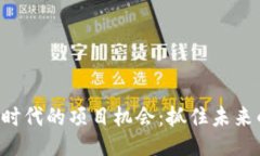 Web3时代的项目机会：抓住