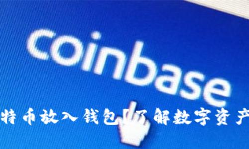 为什么要把比特币放入钱包？了解数字资产保护的必要性
