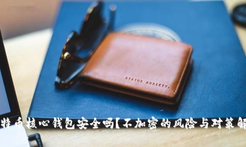 比特币核心钱包安全吗？不加密的风险与对策解析