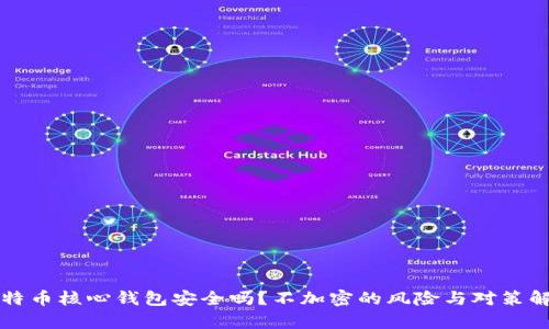 比特币核心钱包安全吗？不加密的风险与对策解析