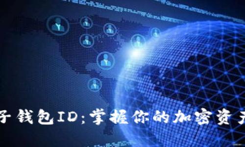比特币电子钱包ID：掌握你的加密资产安全之钥