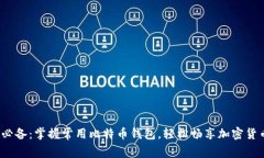 2023必备：掌握常用比特币