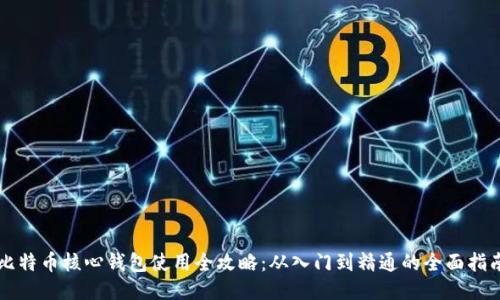 比特币核心钱包使用全攻略：从入门到精通的全面指南