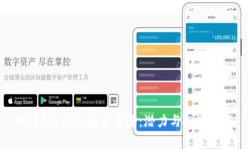 Web3社区的未来展望：潜力与挑战并存