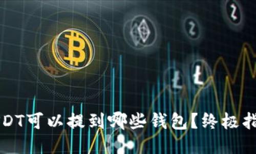 USDT可以提到哪些钱包？终极指南