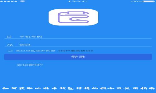 如何获取比特币钱包详情的指令及使用指南