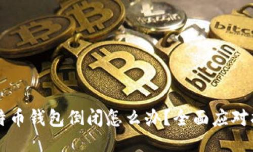比特币钱包倒闭怎么办？全面应对指南