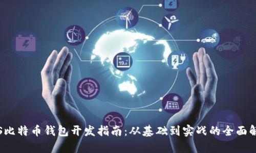 iOS比特币钱包开发指南：从基础到实战的全面解析