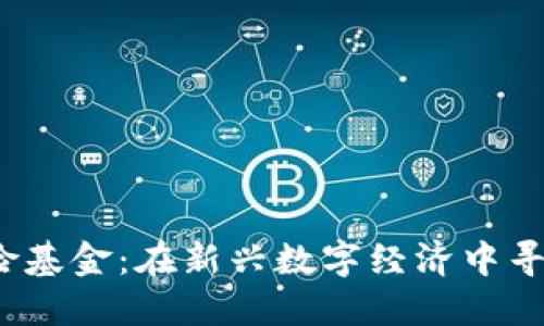 Web3投资风险基金：在新兴数字经济中寻求机会与挑战