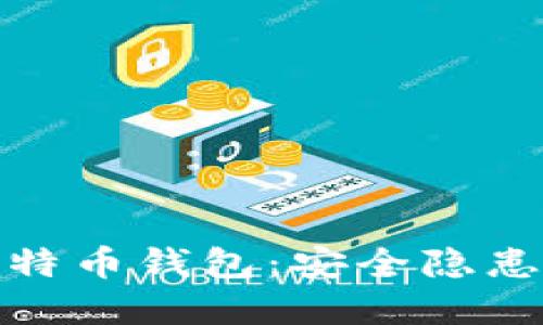 被破解的比特币钱包：安全隐患与保护措施