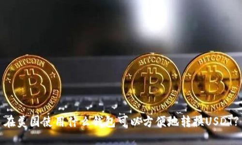 在美国使用什么钱包可以方便地转换USDT?