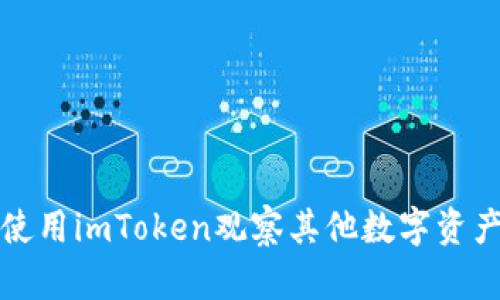 如何使用imToken观察其他数字资产钱包