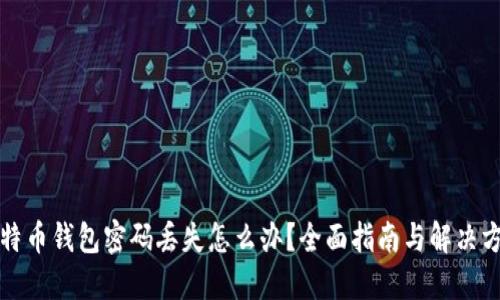 比特币钱包密码丢失怎么办？全面指南与解决方案
