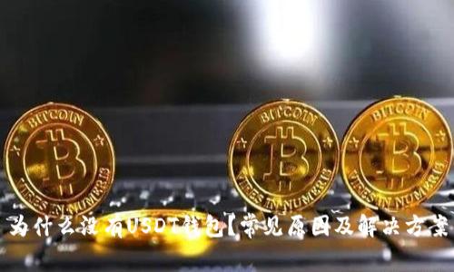 为什么没有USDT钱包？常见原因及解决方案