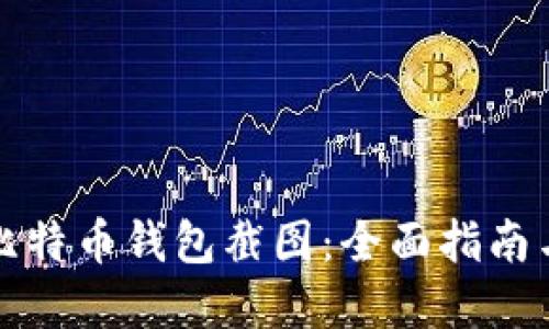 如何生成比特币钱包截图：全面指南与实用技巧