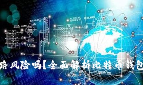 比特币钱包有跑路风险吗？全面解析比特币钱包的安全性与风险