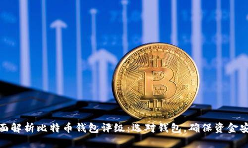 全面解析比特币钱包评级：选对钱包，确保资金安全