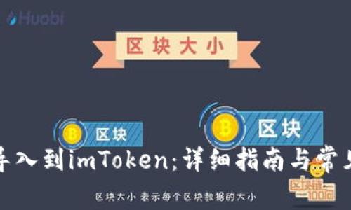 如何将币导入到imToken：详细指南与常见问题解答